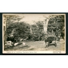 GAUCHESCA VIDA DE CAMPO EL TAMBO SANTA CRUZ ANTIGUA TARJETA POSTAL